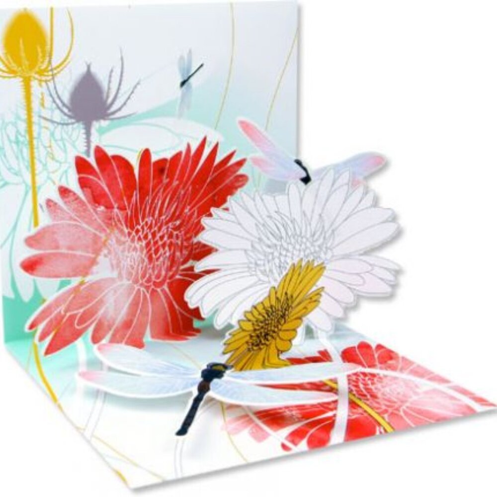 Dragonfly Morning Pop-Up Treasures Greeting Cards